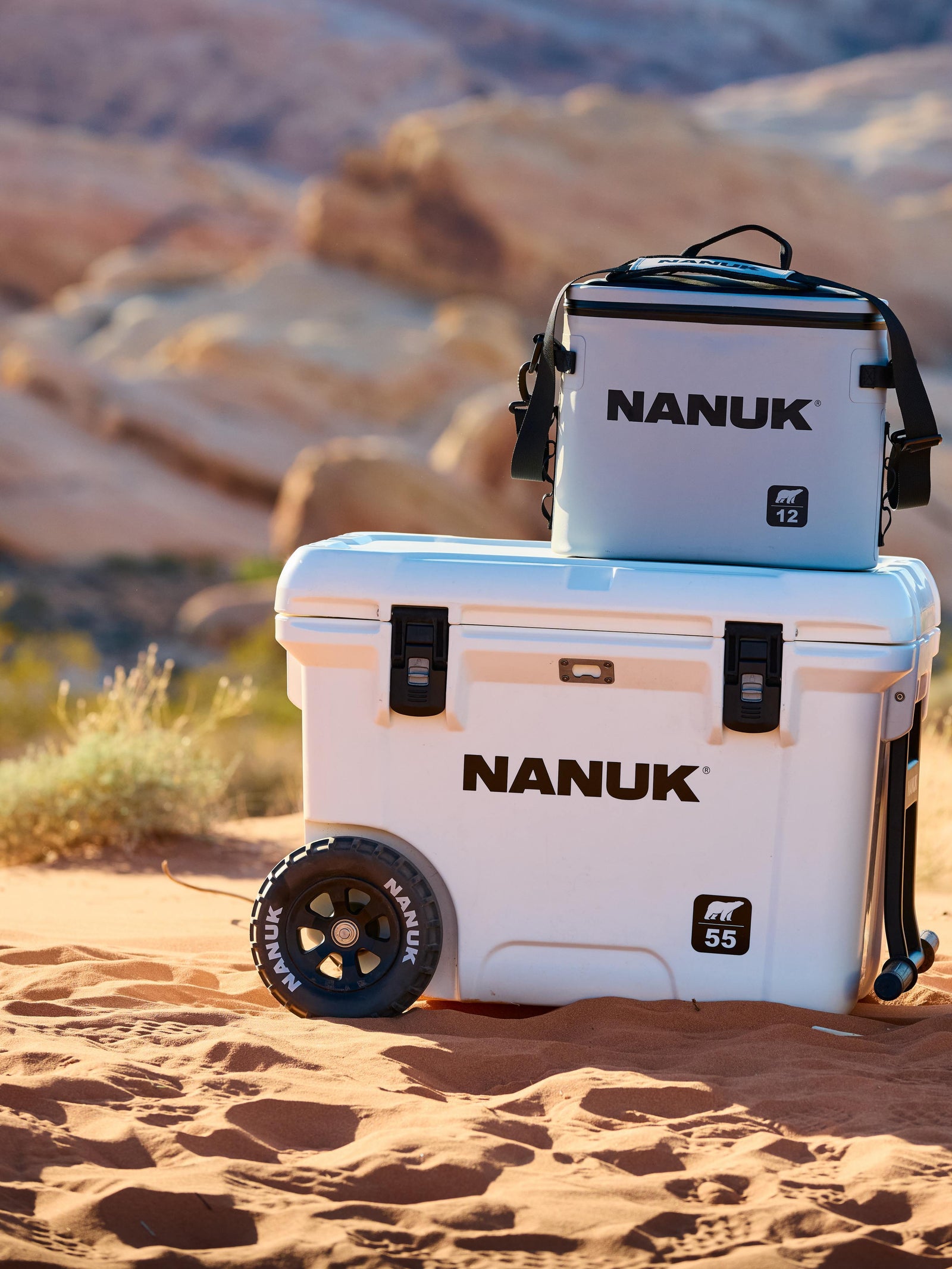 Two Nanuk coolers in a desert setting