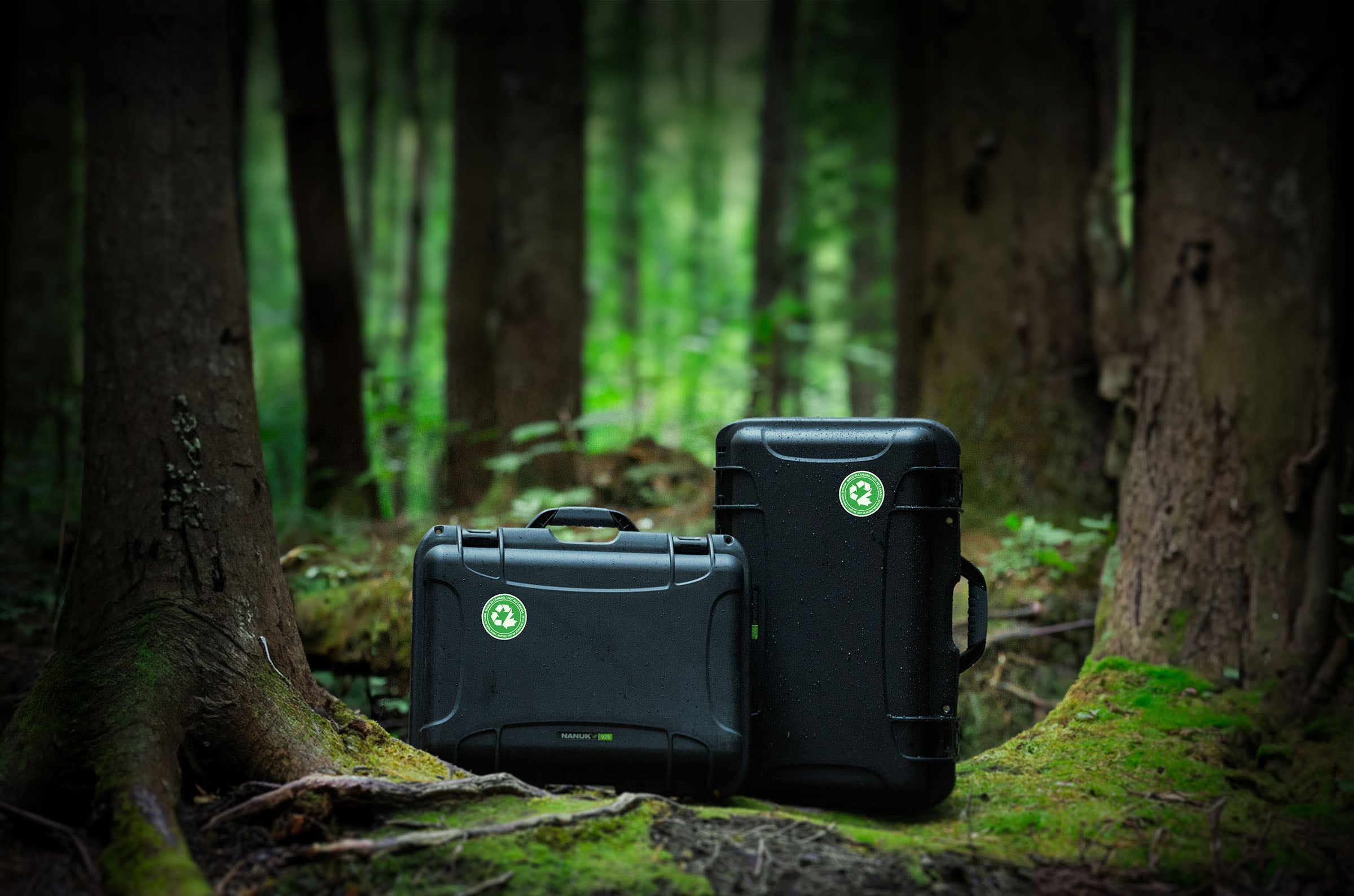 Recycled Hard Cases in the Forest