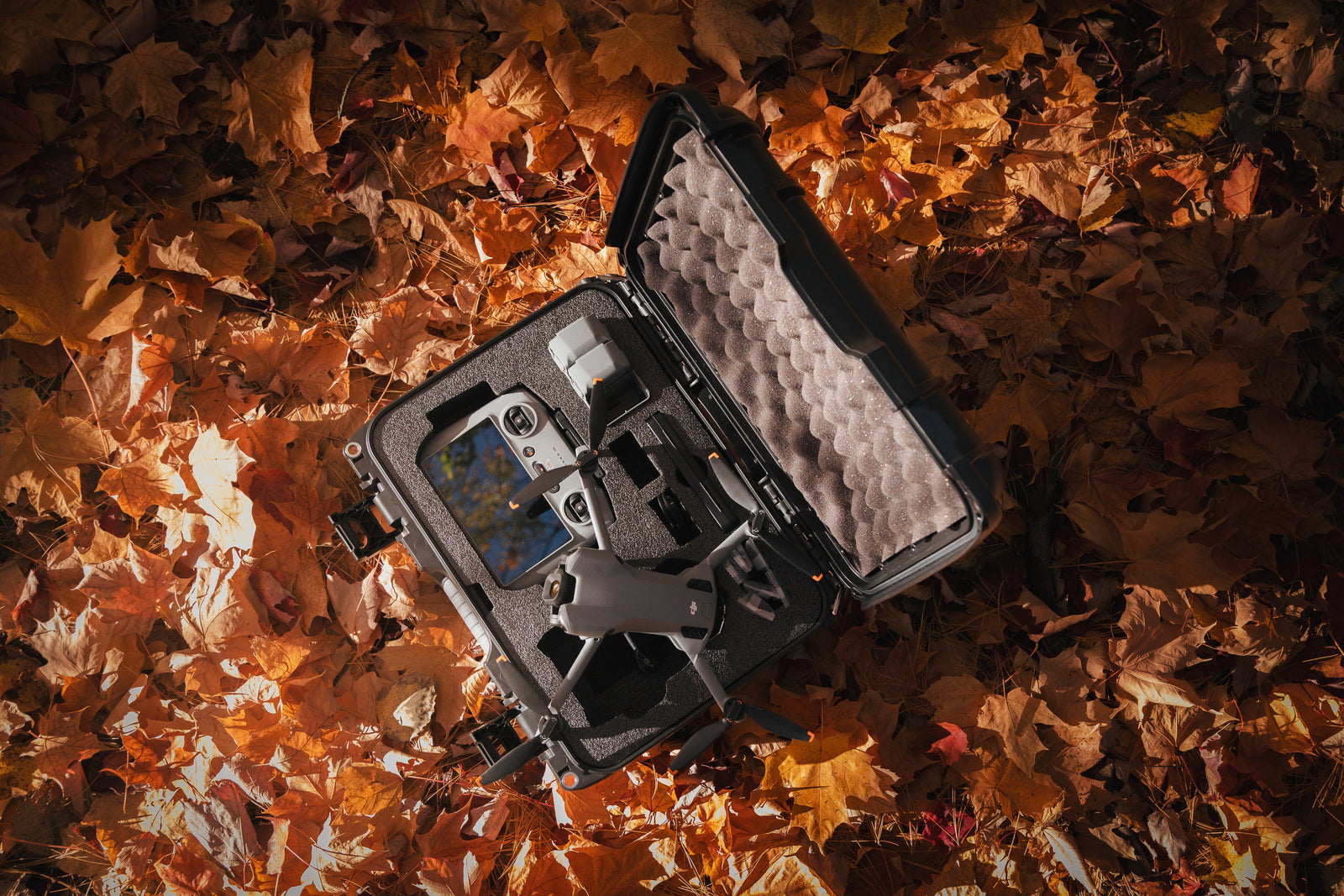 Black case with compartments on a bed of autumn leaves