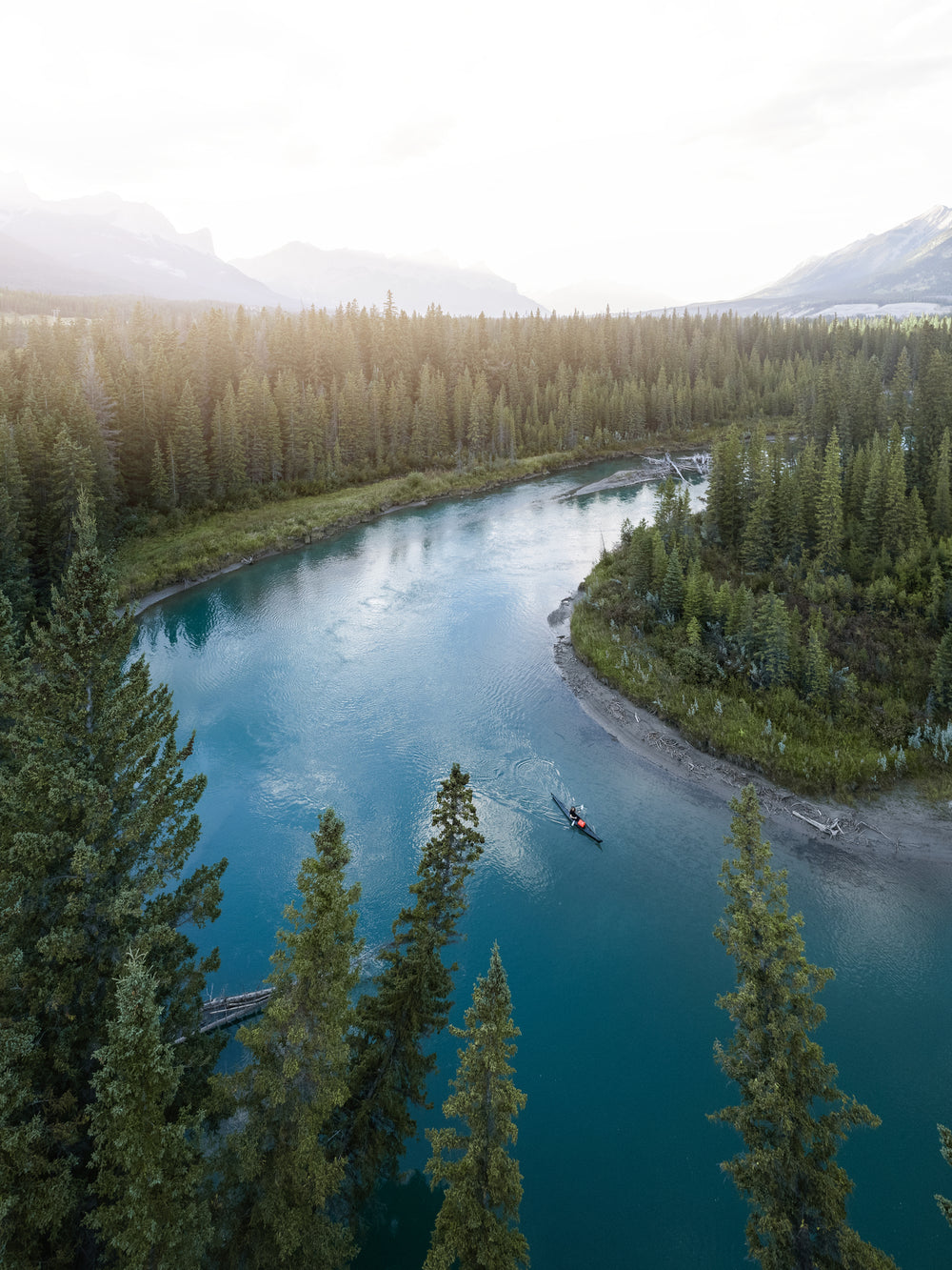 Scenic view of a river surrounded by trees with a boat in the distance.