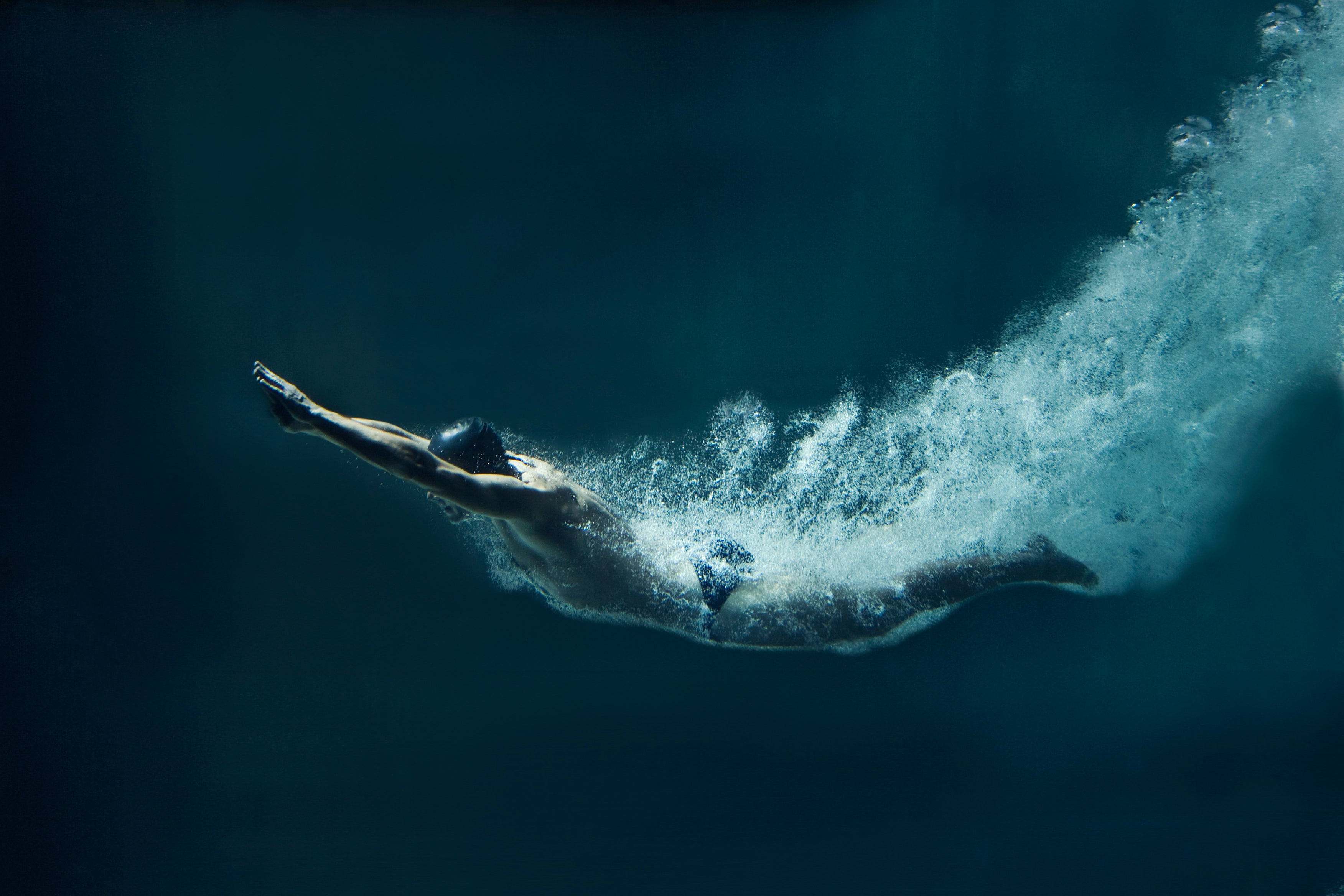 Diver in the water