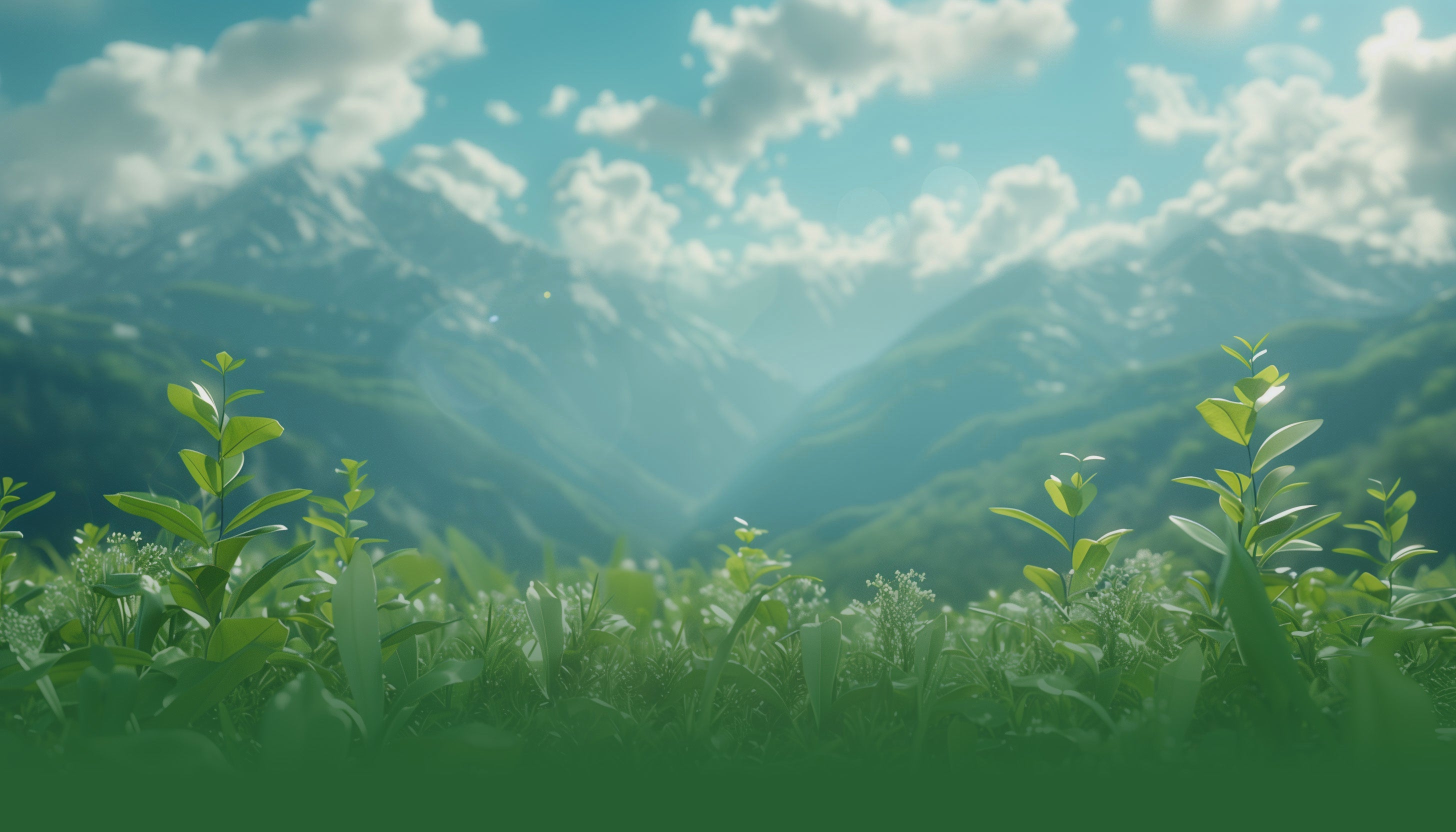 Lush green plants and mountains representing NANUK's commitment to sustainability and nature.