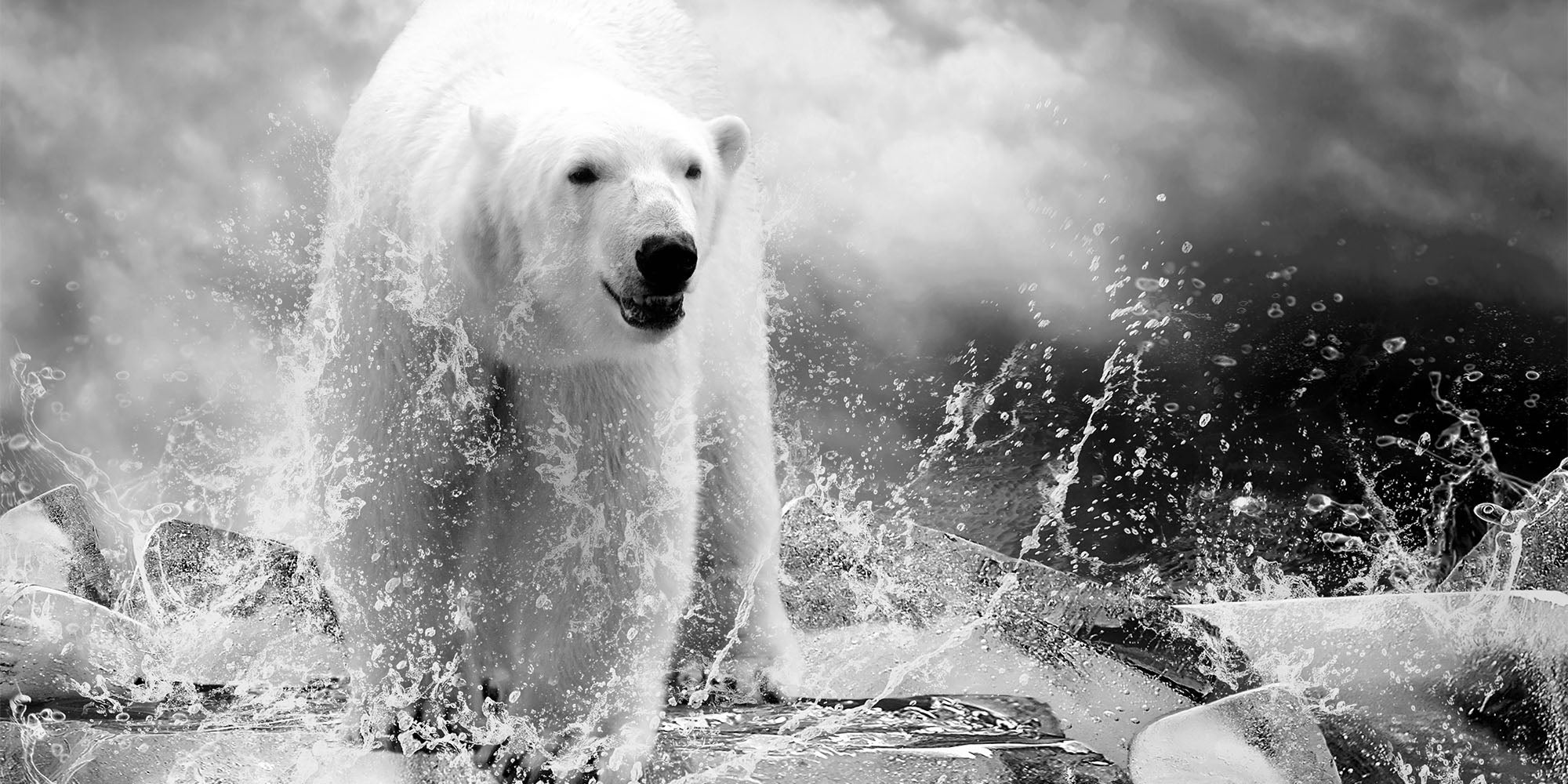 The NANUK Polar Bear